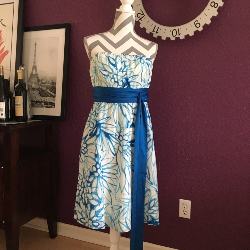 The Limited Summer Dress Strapless